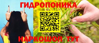 сатива Волжск