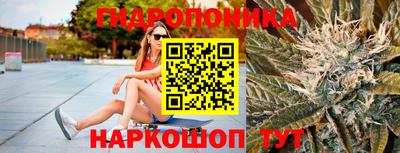 индика Волжский