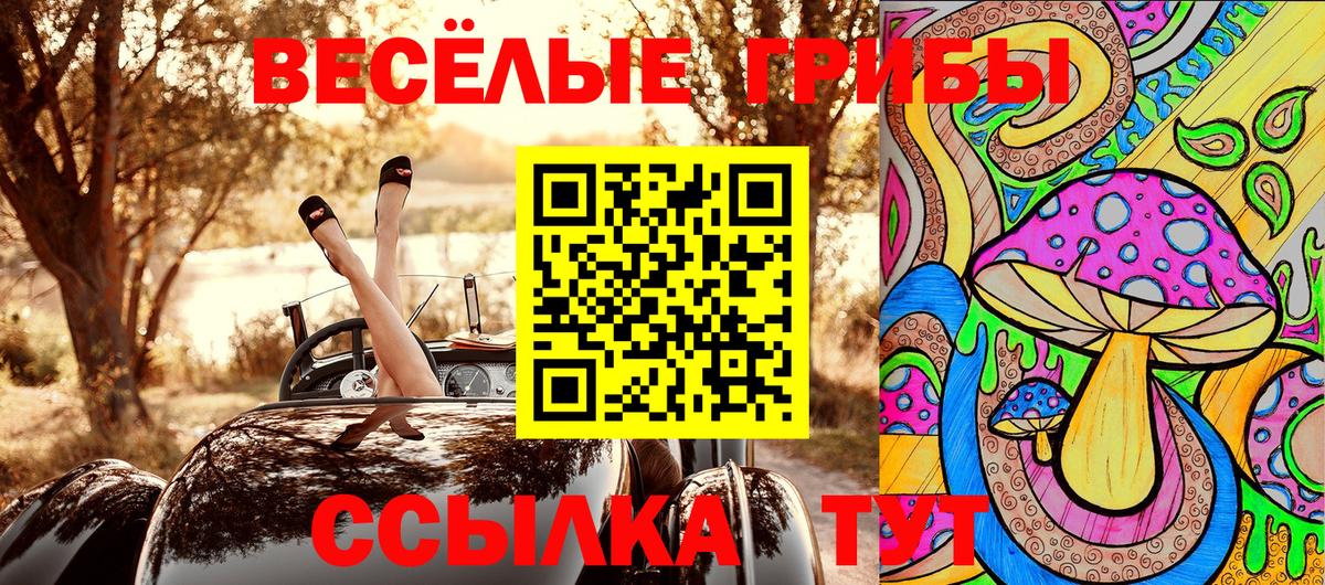 Галлюциногенные грибы GOLDEN TEACHER Санкт-Петербург