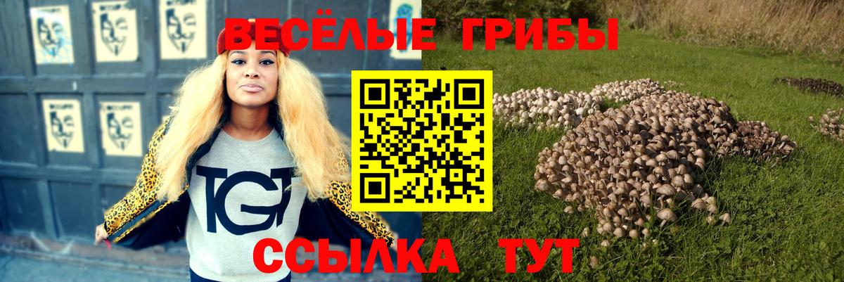 Санкт-Петербург  Псилоцибиновые грибы мицелий  Вход с VPN 